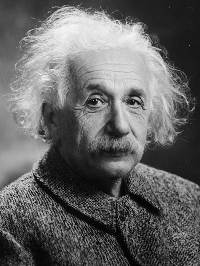 10-historical-figures-who-were-vegan-before-it-was-mainstream-the-daily-vox-4.jpg