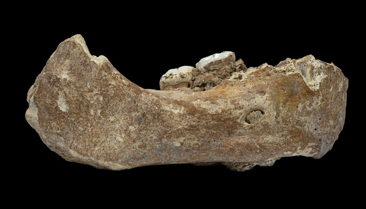 160000-year-old-jawbone-discovered-by-buddhist-monk-sheds-light-on-ancient-humans-lions-roar.jpg