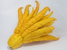 buddhas-hand-success-for-australian-exotic-citrus-growers-freshplaza-com.jpg