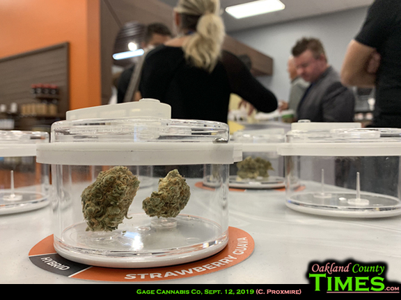 ferndale-welcomes-medical-marijuana-dispensary-gage-cannabis-oakland-county-115-news-12.jpg