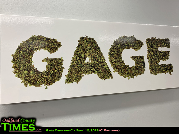 ferndale-welcomes-medical-marijuana-dispensary-gage-cannabis-oakland-county-115-news-15.jpg
