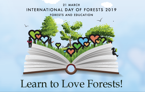 forests-and-people-are-intertwined-for-development-philippine-information-agency.png