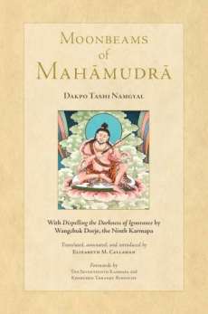 onbeams-of-mahamudra-perspectives-on-a-new-translation-by-elizabeth-callahan-buddhistdoor-global.jpg