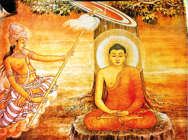 significance-of-vesak-the-sunday-times-sri-lanka.jpg