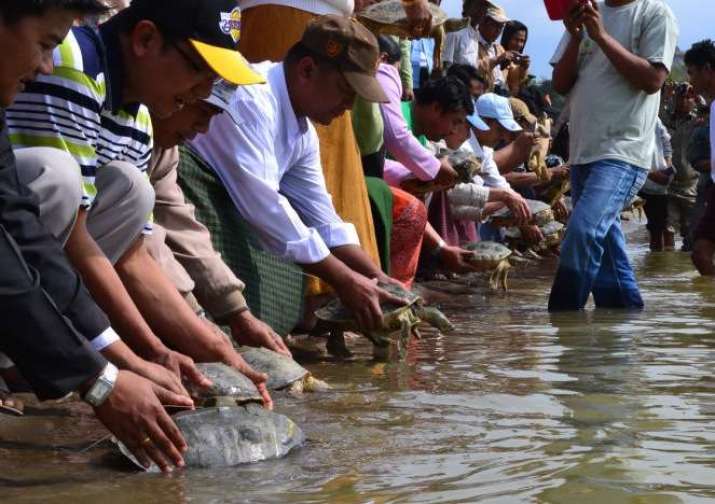 warns-that-buddhist-practice-of-life-release-could-spark-ecological-crisis-buddhistdoor-global-2.jpg