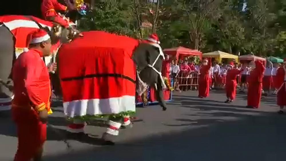 watch-elephants-dressed-up-as-santa-interact-with-children-euronews-english.jpg